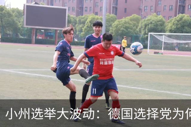 小州选举大波动：德国选择党为何引发全国关注？
